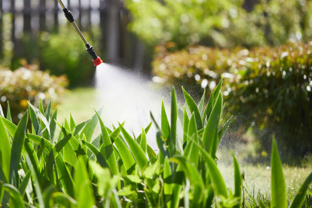24/7 Emergency Mosquito Control experts in Perry, IA